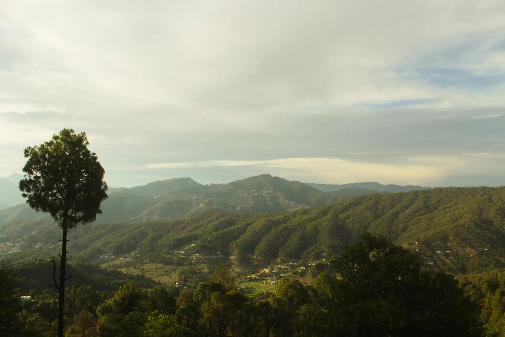 Samar Villa in Matena, Kasar Devi photo 2